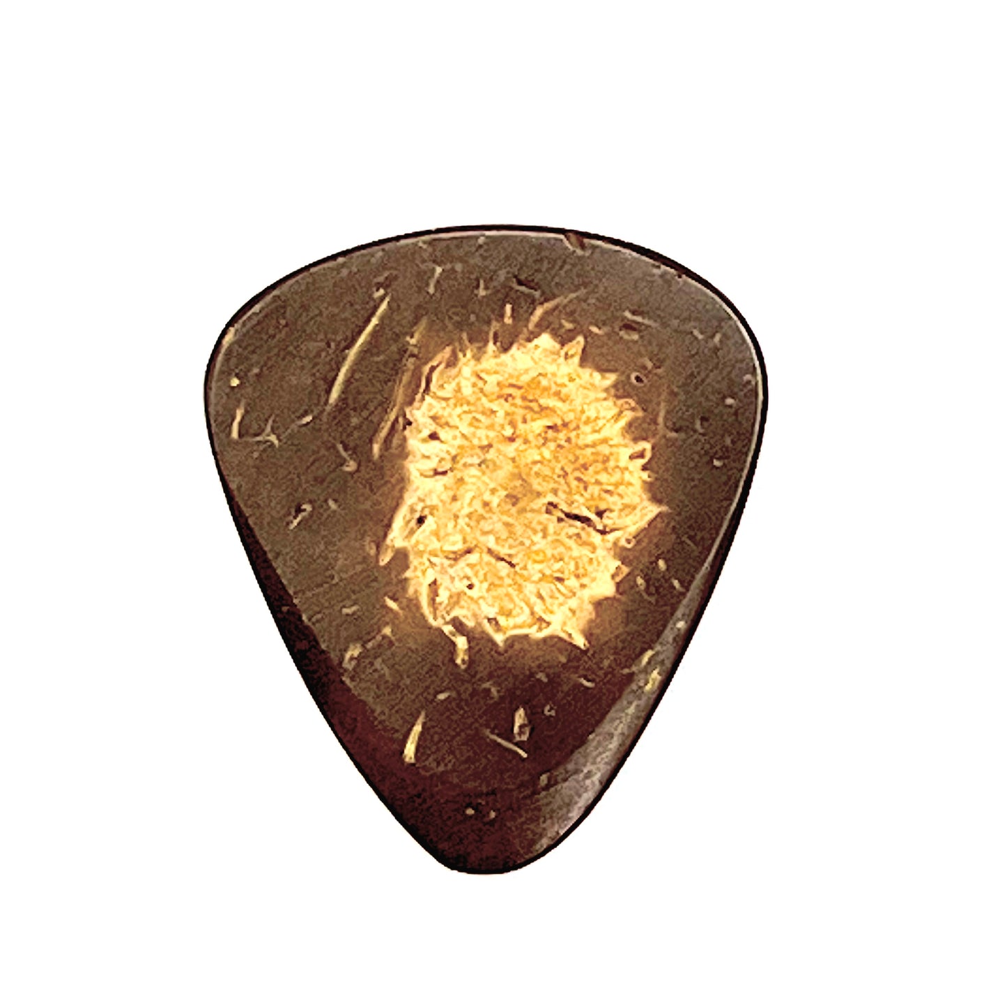 Exotic Coconut Guitar Picks – Artist Quality 3-Pack P3-EXCO